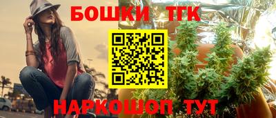 дживик Можга