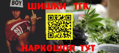 дживик Можга