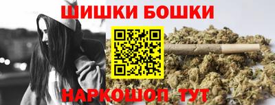 дживик Можга