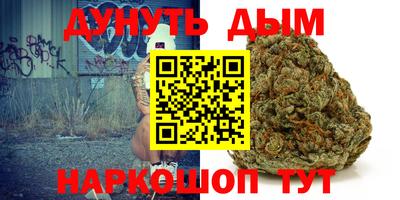 дживик Можга